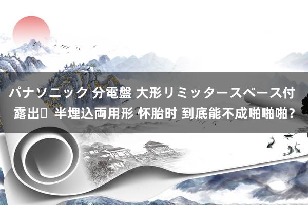 パナソニック 分電盤 大形リミッタースペース付 露出・半埋込両用形 怀胎时 到底能不成啪啪啪？