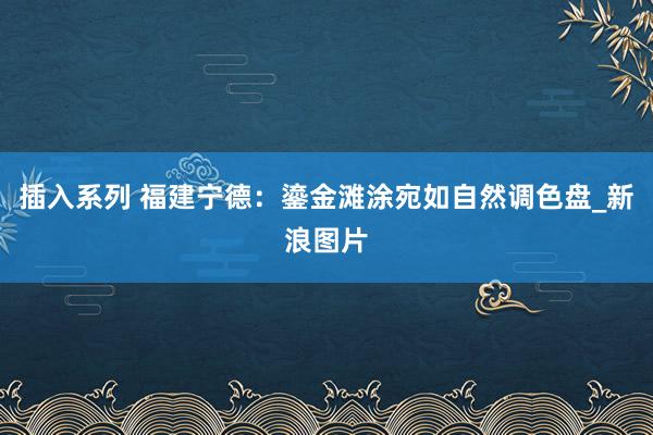 插入系列 福建宁德：鎏金滩涂宛如自然调色盘_新浪图片