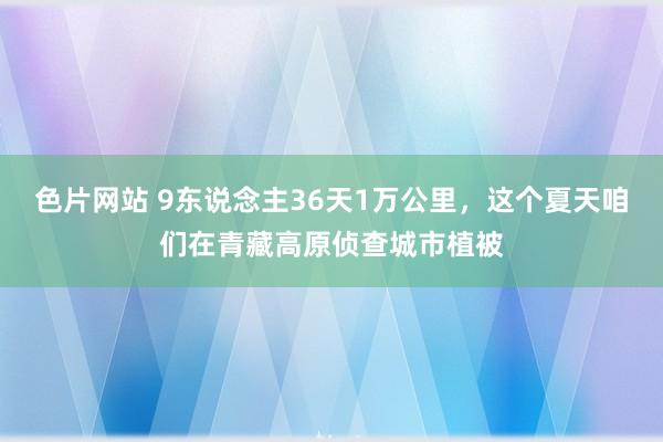 色片网站 9东说念主36天1万公里，这个夏天咱们在青藏高原侦查城市植被