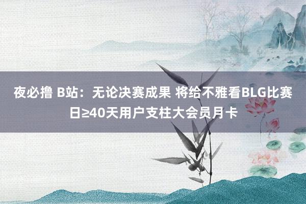 夜必撸 B站：无论决赛成果 将给不雅看BLG比赛日≥40天用户支柱大会员月卡