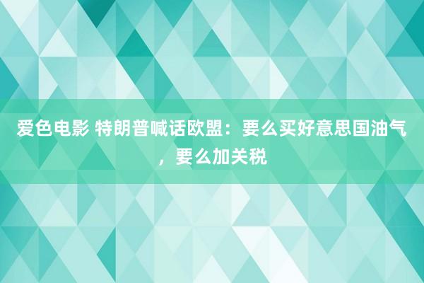 爱色电影 特朗普喊话欧盟：要么买好意思国油气，要么加关税