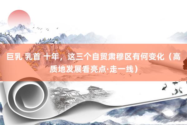 巨乳 乳首 十年，这三个自贸肃穆区有何变化（高质地发展看亮点·走一线）
